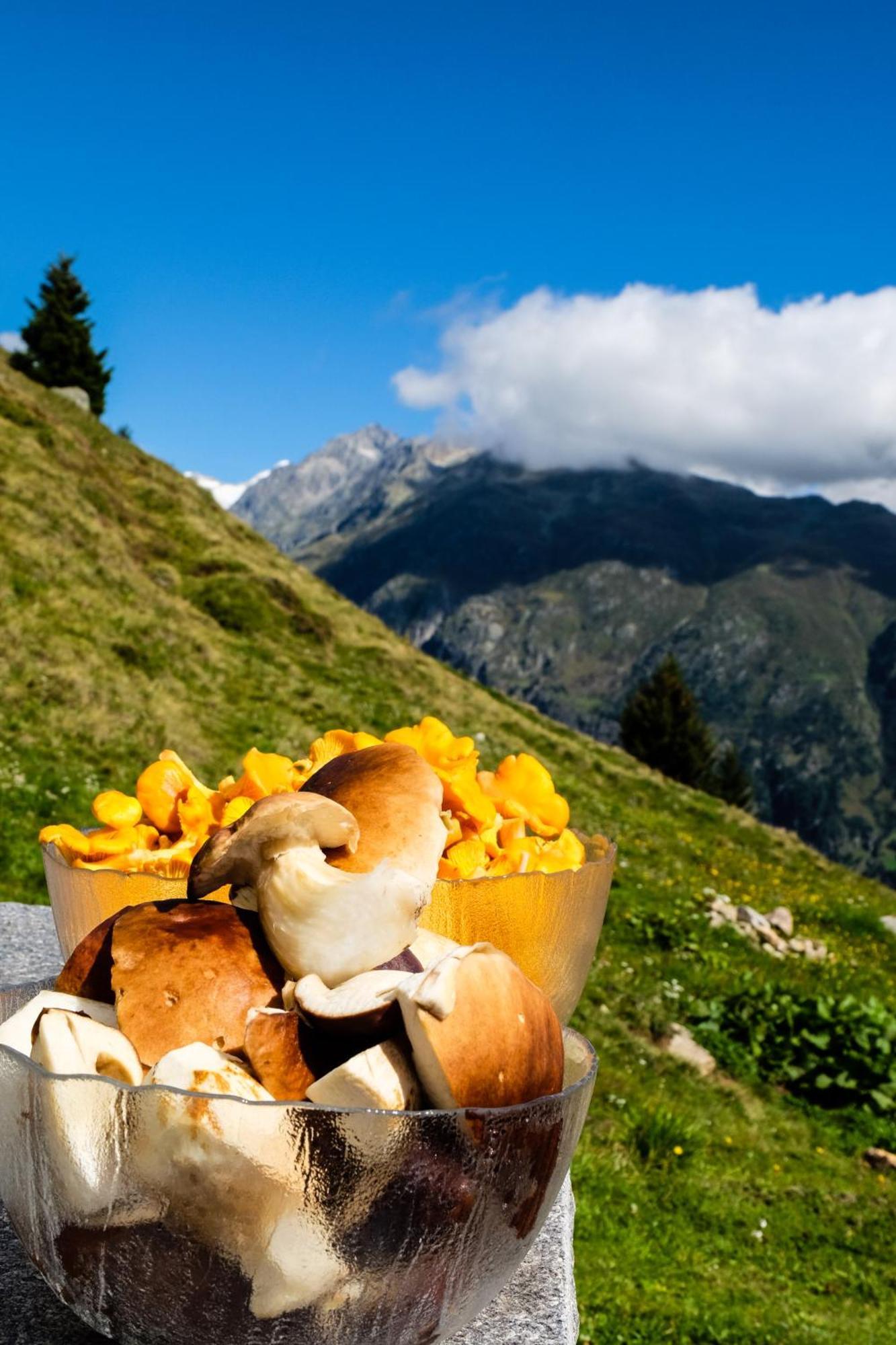 Alphuette Bielerchaeller Villa Fiesch Bagian luar foto