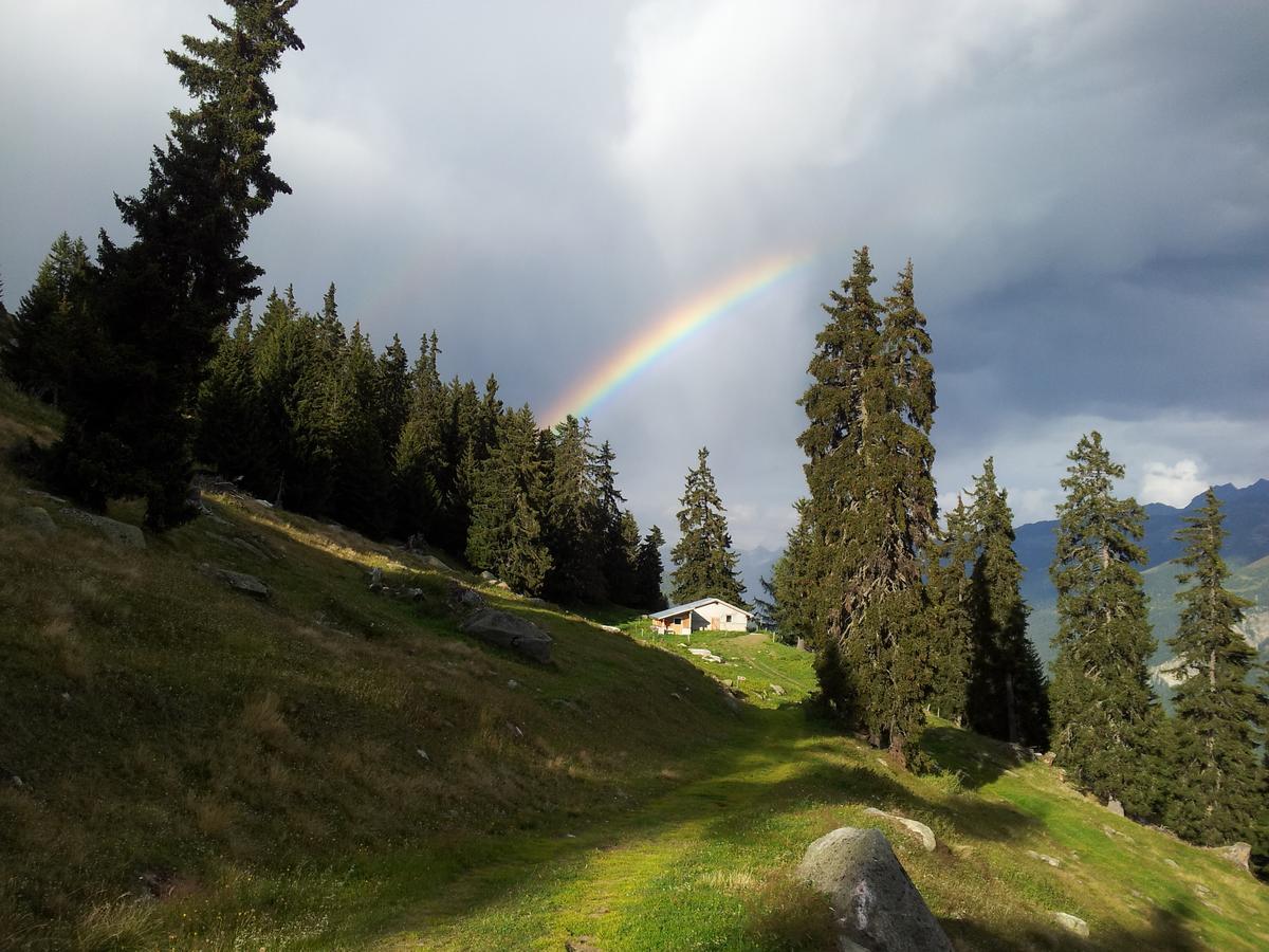 Alphuette Bielerchaeller Villa Fiesch Bagian luar foto